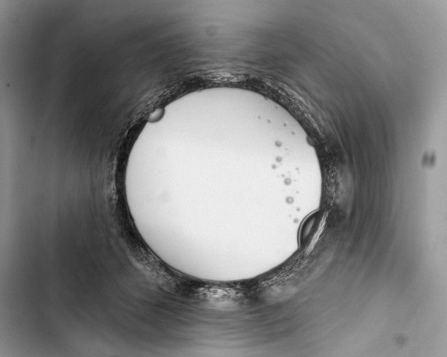 X0000103460512200810031501