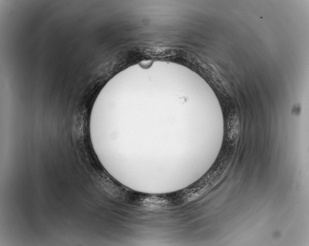 X0000103460515200810031501