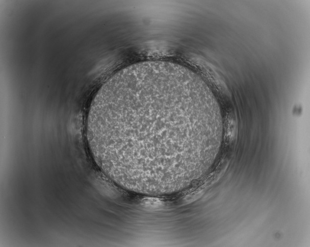 X0000103460519200810031501