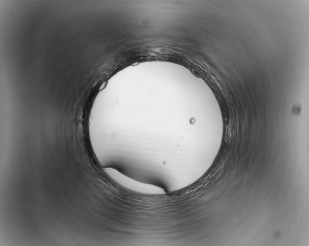 X0000103460520200810031501