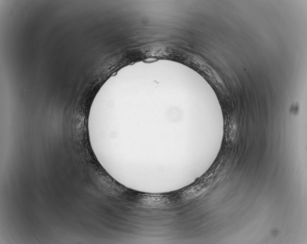 X0000103460521200810031501