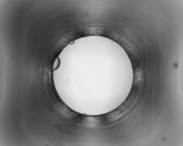 X0000103460522200810031501