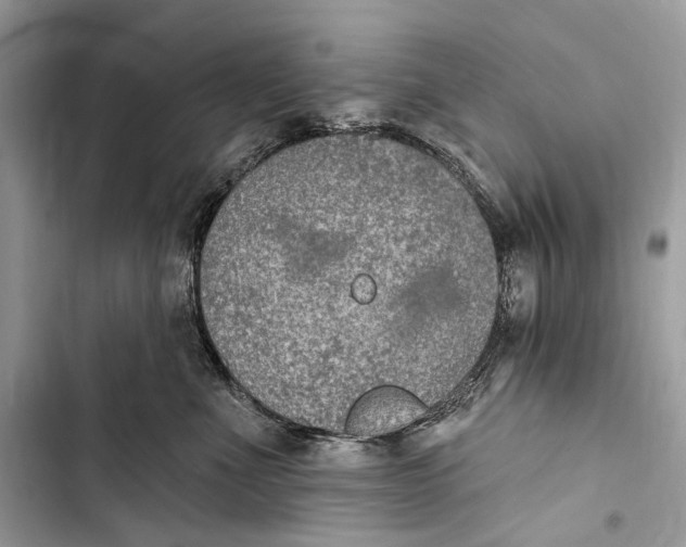 X0000103460523200810031501