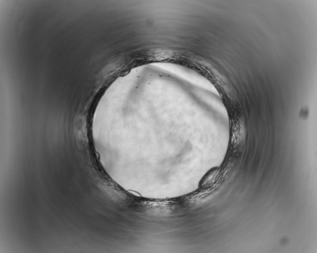 X0000103460524200810031501