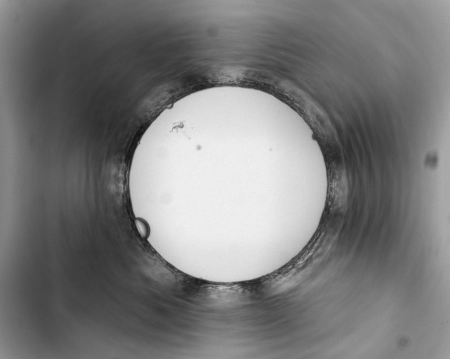 X0000103460525200810031501