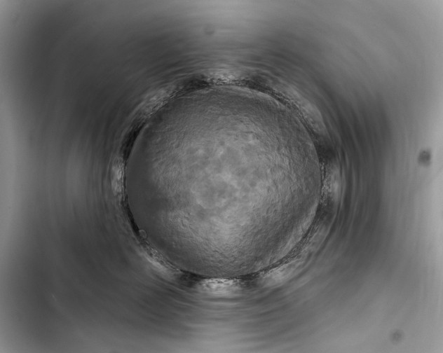 X0000103460526200810031501