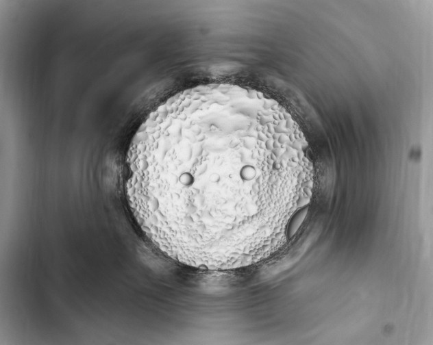 X0000103460527200810031501