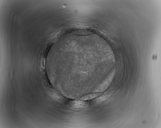 X0000103460528200810031501