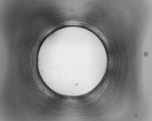 X0000103460529200810031500