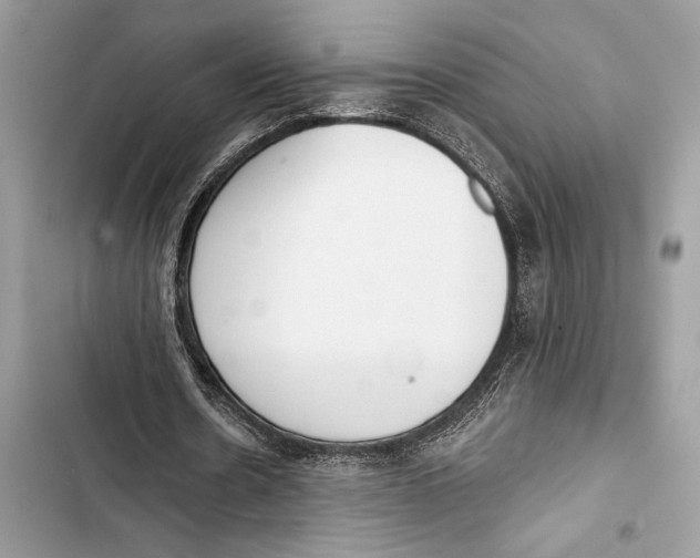 X0000103460530200810031500