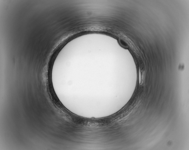 X0000103460531200810031500