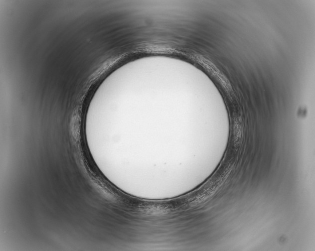 X0000103460533200810031500