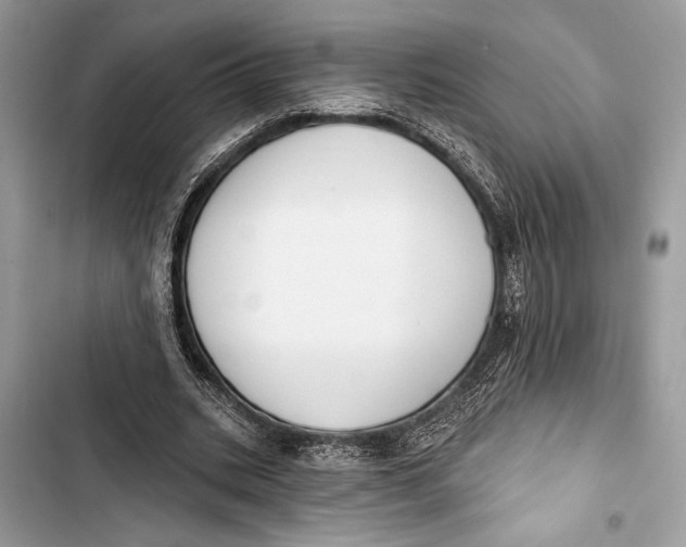 X0000103460535200810031500