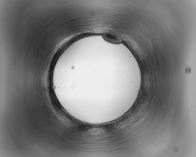 X0000103460536200810031500