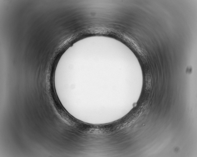 X0000103460538200810031500