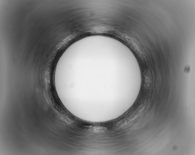 X0000103460539200810031500