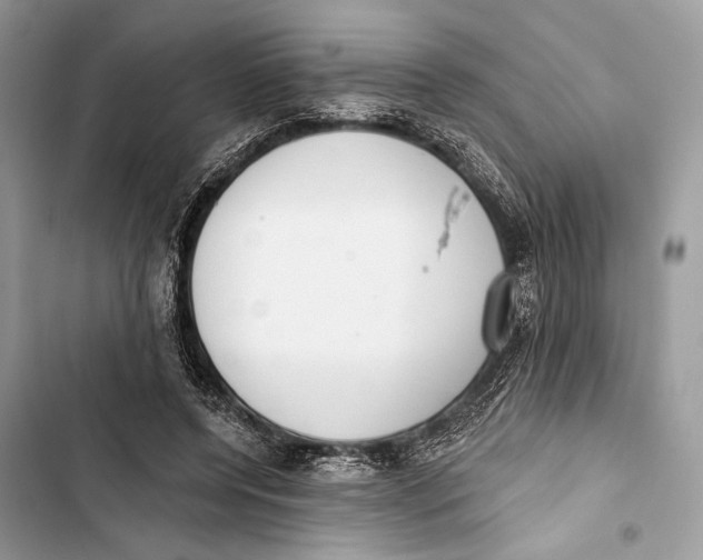 X0000103460544200810031500