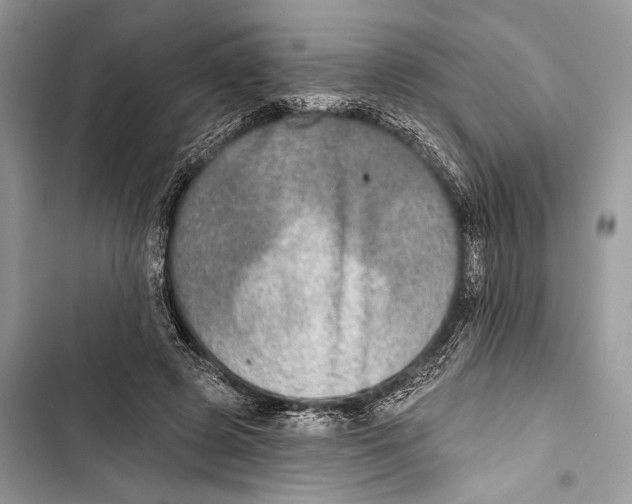 X0000103460545200810031500