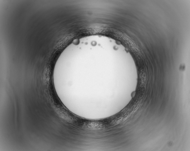 X0000103460546200810031500