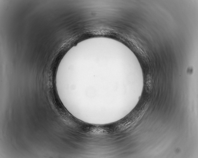 X0000103460547200810031500