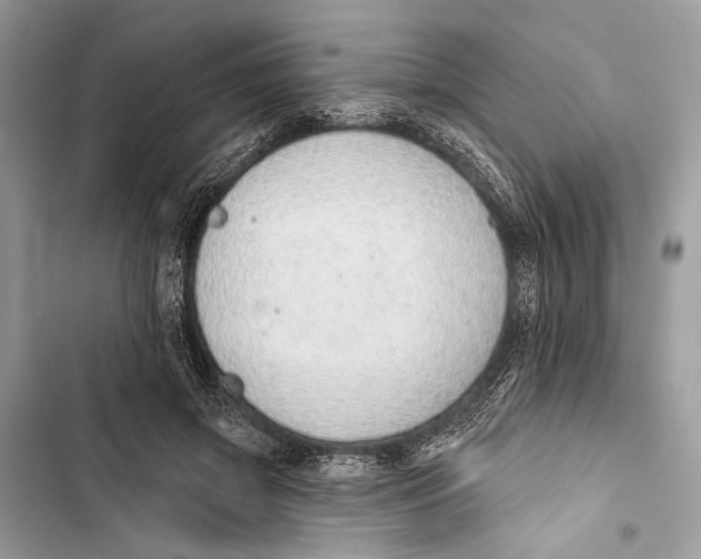 X0000103460549200810031500