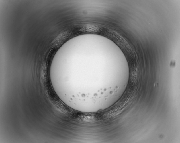 X0000103460552200810031500