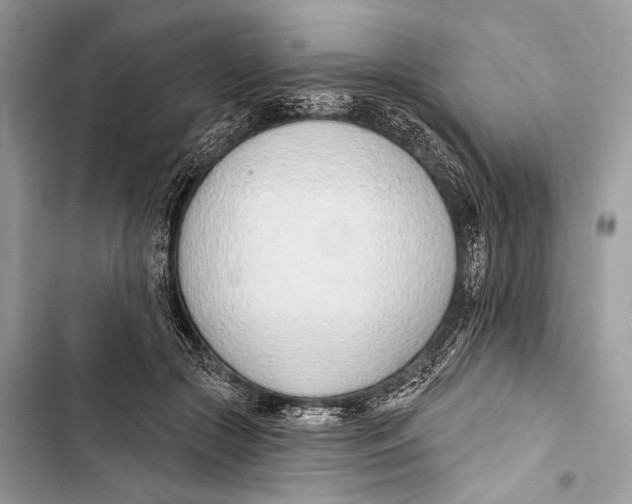 X0000103460553200810031500