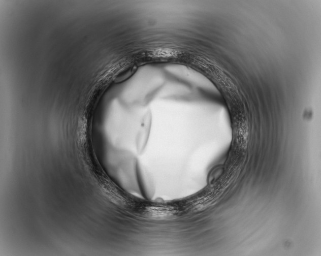 X0000103460556200810031500