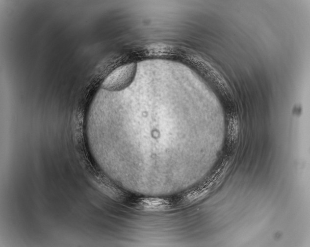 X0000103460557200810031500