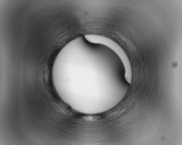 X0000103460558200810031500