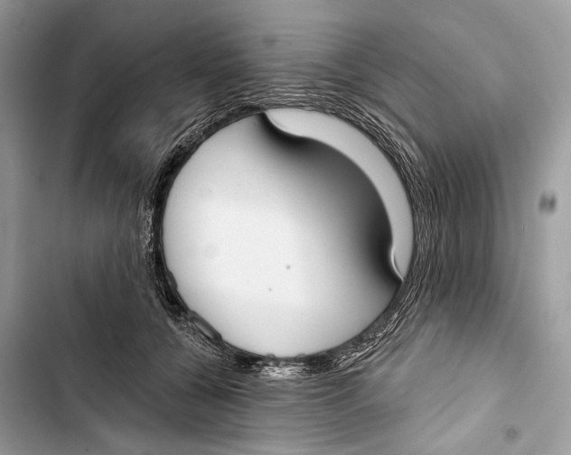 X0000103460560200810031500