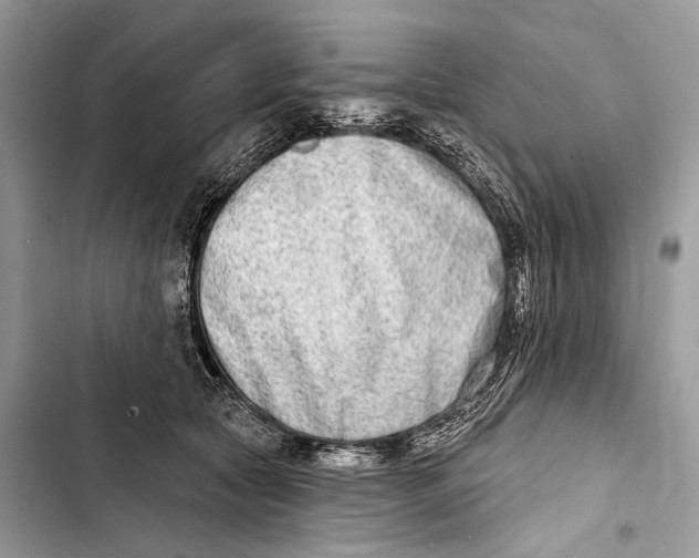 X0000103460561200810031500