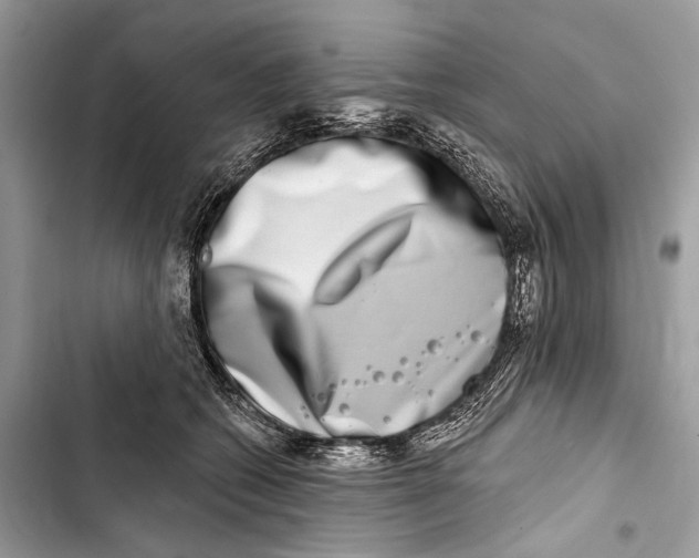 X0000103460562200810031500