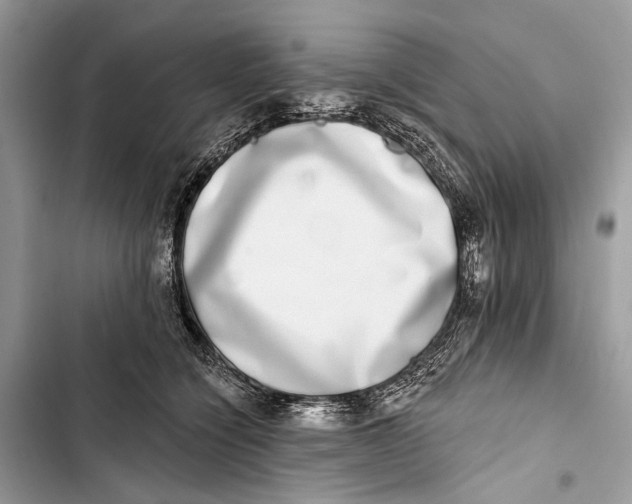 X0000103460564200810031500