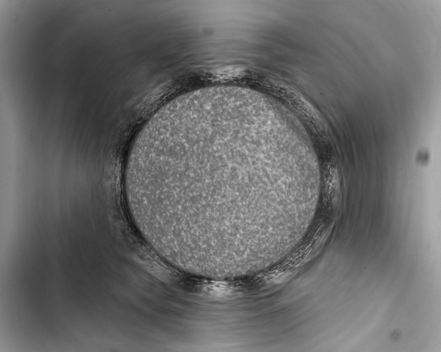 X0000103460565200810031500