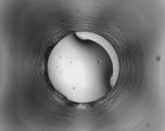 X0000103460566200810031500