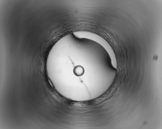 X0000103460568200810031500