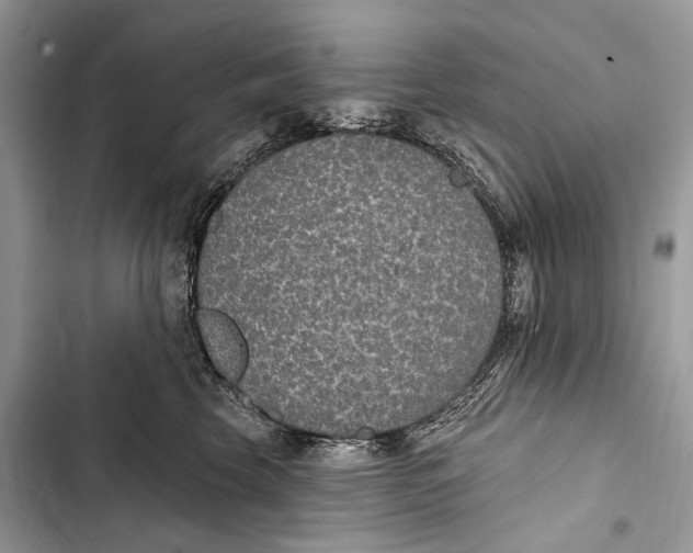 X0000103460569200810031500