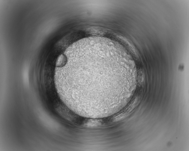 X0000103460573200810031500