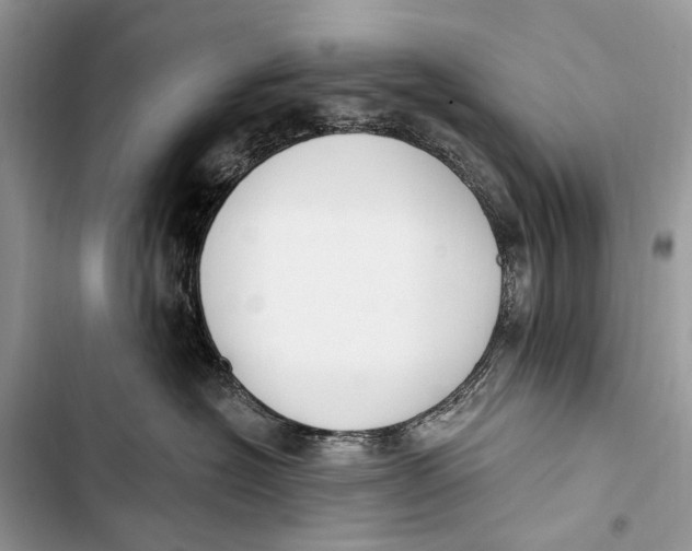 X0000103460574200810031500