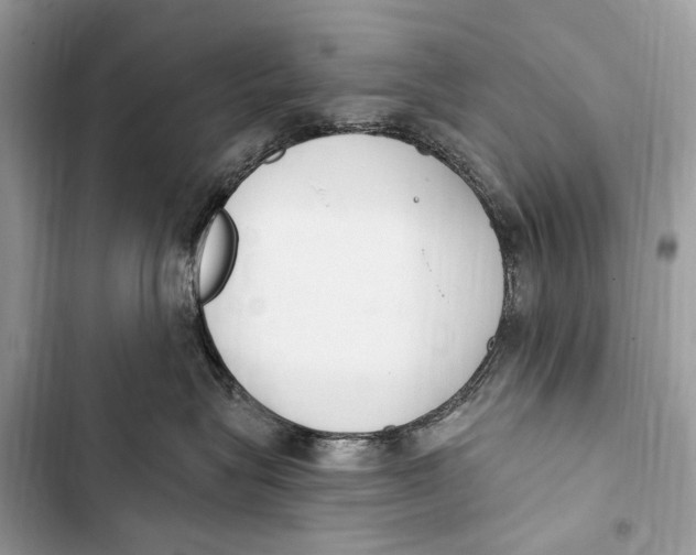 X0000103460575200810031501