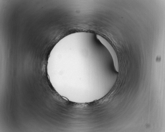 X0000103460576200810031501