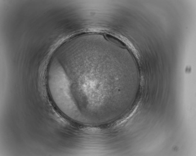 X0000103460577200810031500