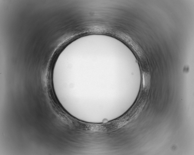 X0000103460579200810031500