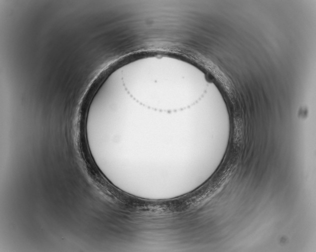 X0000103460580200810031500