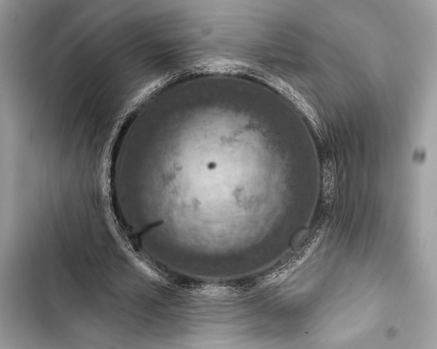 X0000103460581200810031500