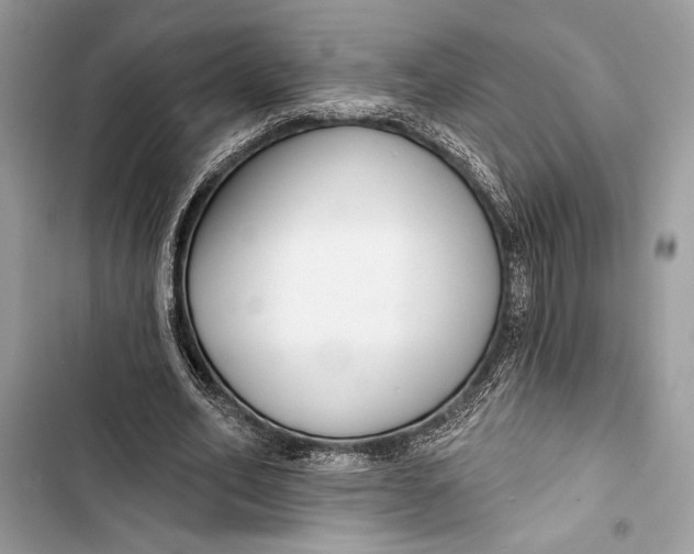 X0000103460582200810031500