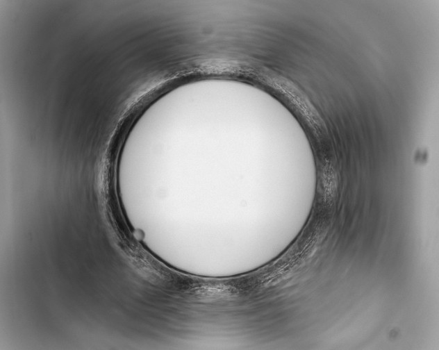 X0000103460583200810031500