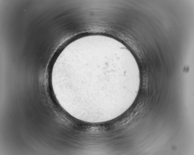 X0000103460584200810031500