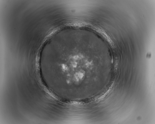 X0000103460585200810031500